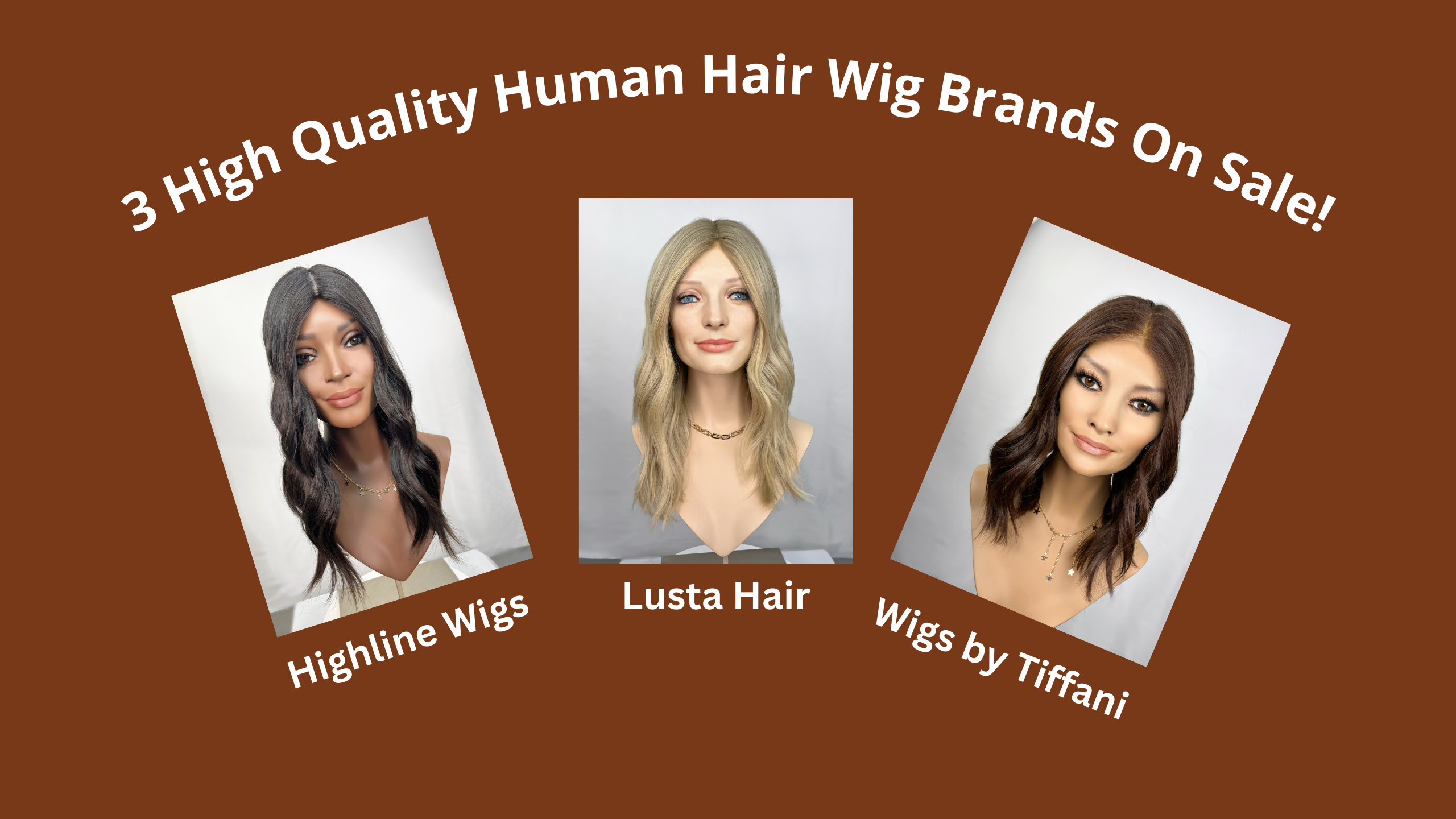 High Quality Human Hair Wig Brands On Sale Silk or Lace